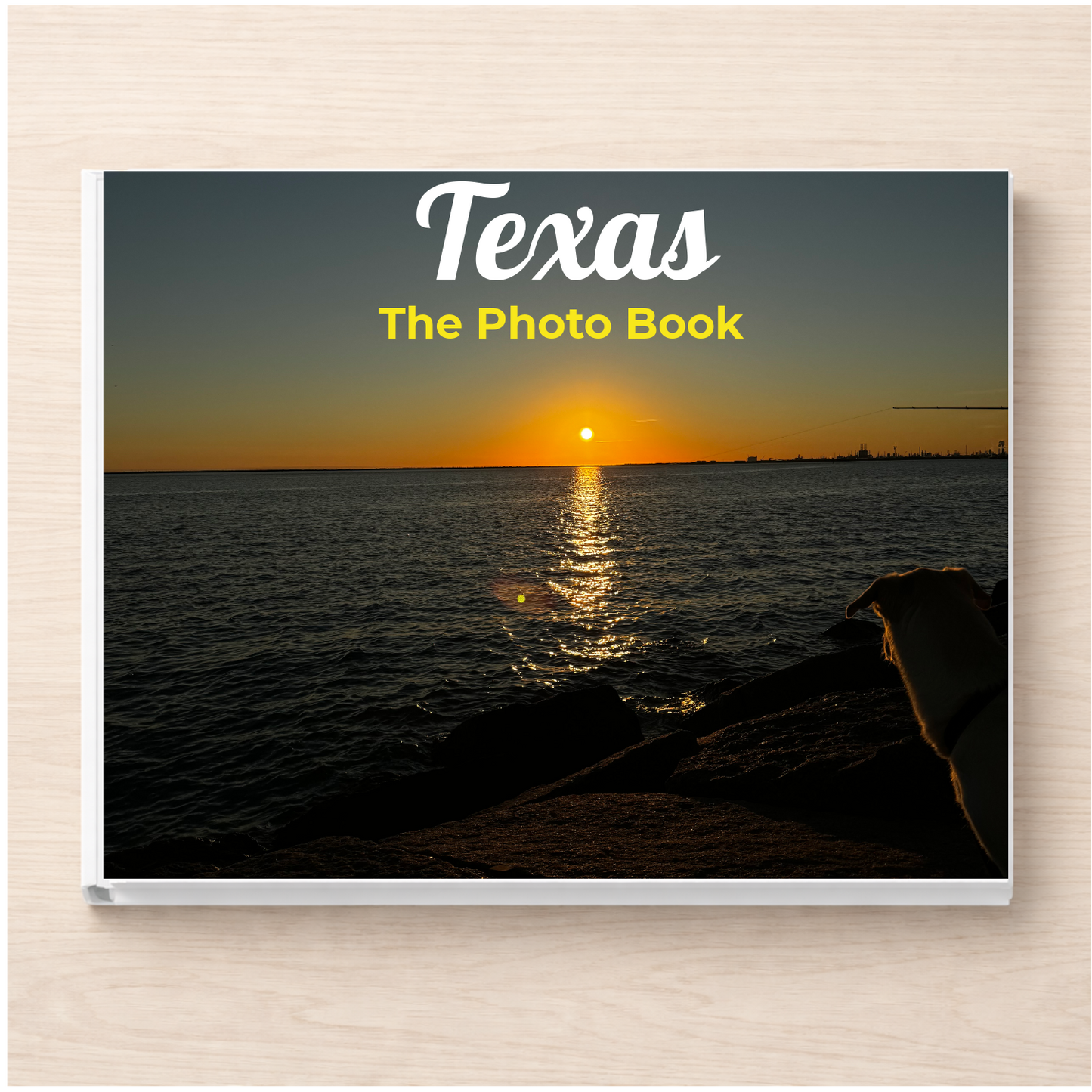 Texas: The Photo Book