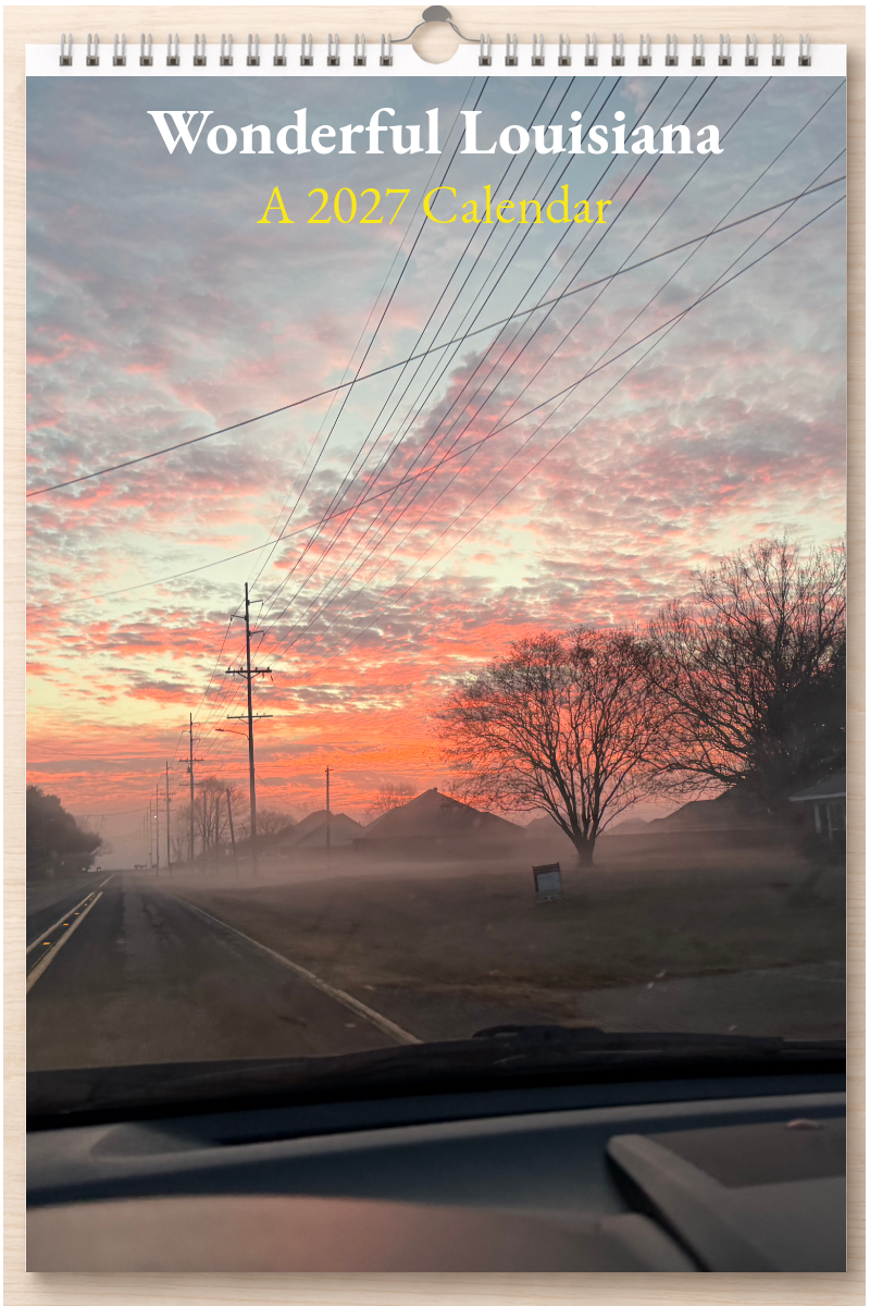 Wonderful Louisiana: A 2027 Calendar