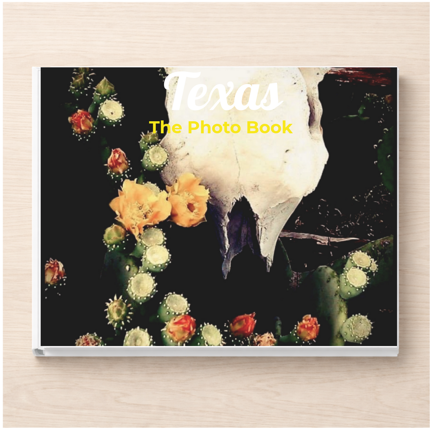 Texas: The Photo Book