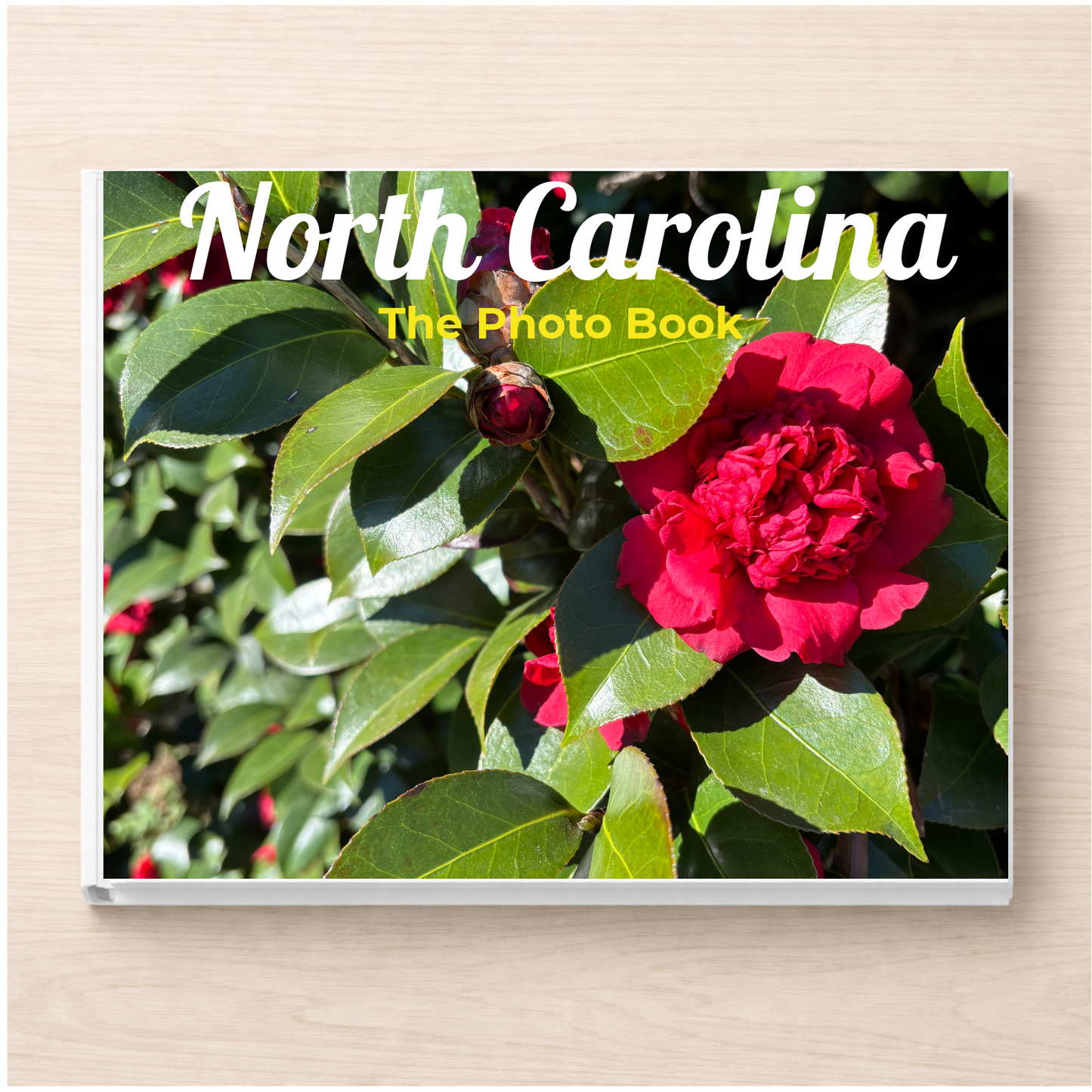North Carolina: The Photo Book