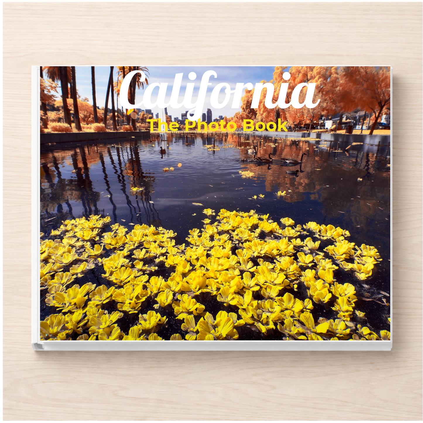 California: The Photo Book