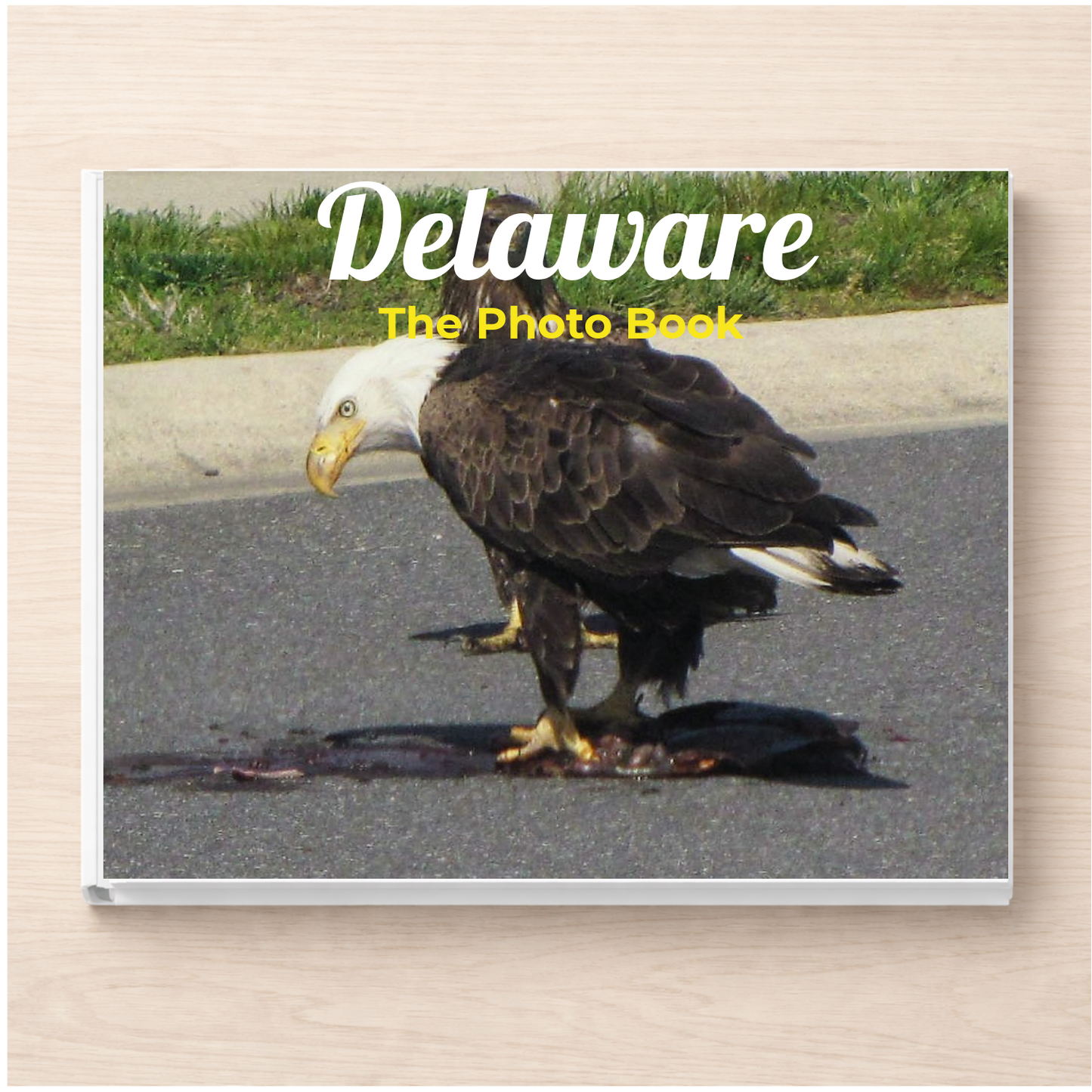 Delaware: The Photo Book