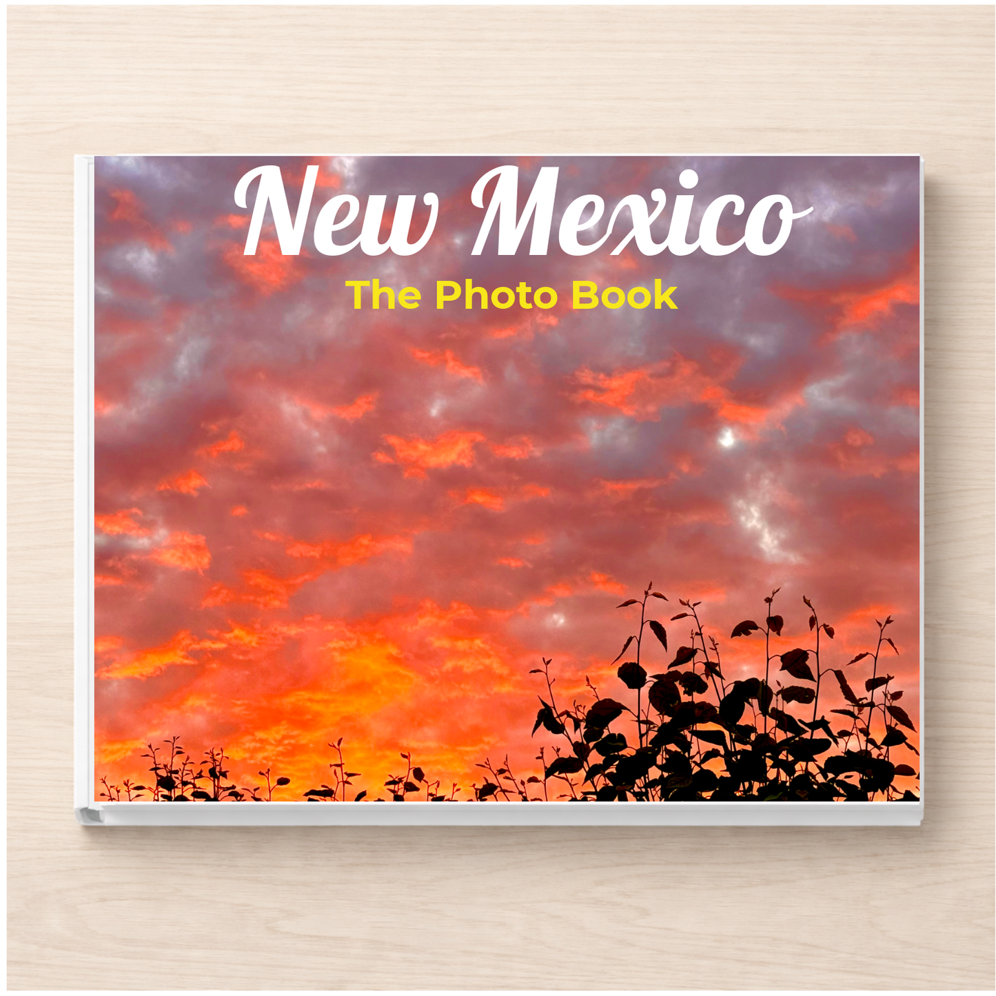 New Mexico: The Photo Book