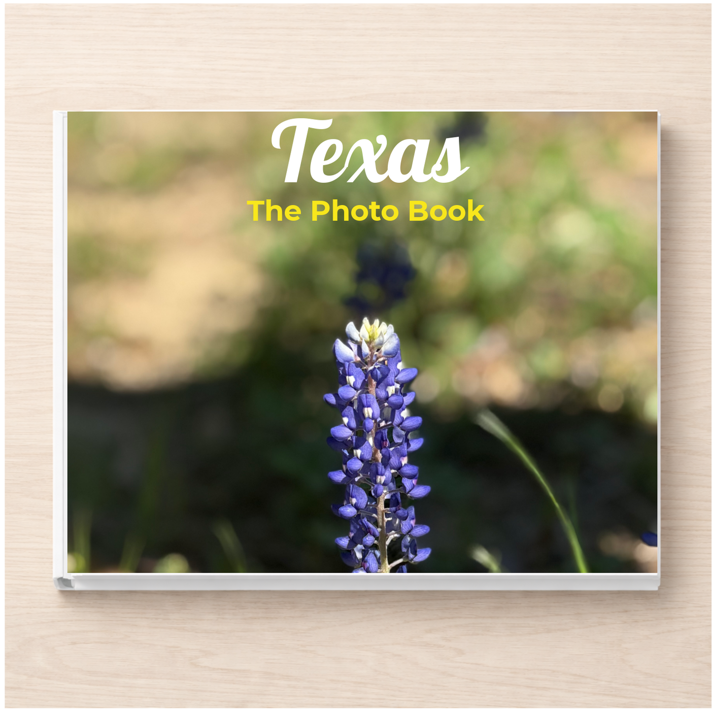Texas: The Photo Book
