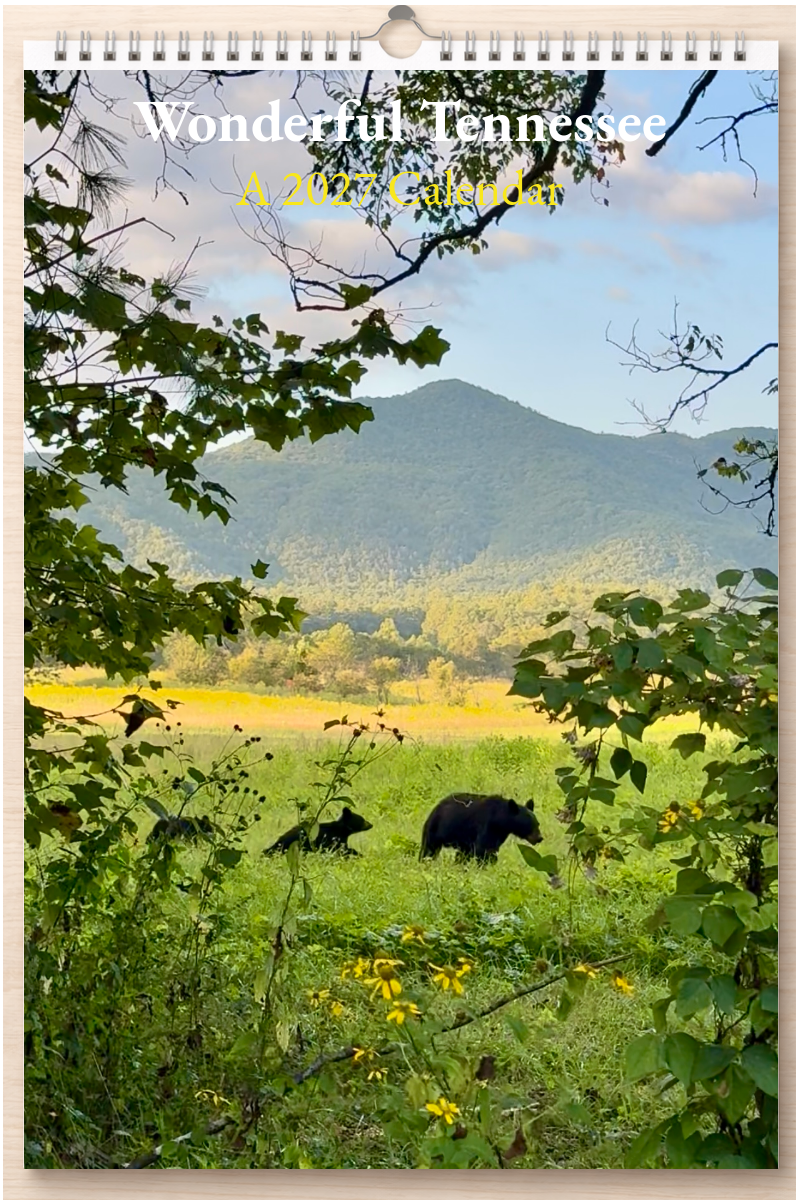Wonderful Tennessee: A 2027 Calendar