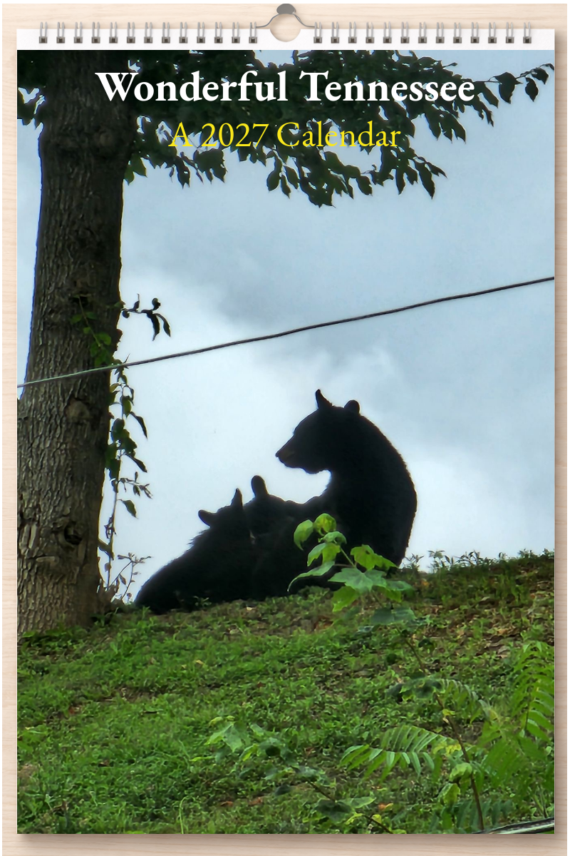Wonderful Tennessee: A 2027 Calendar