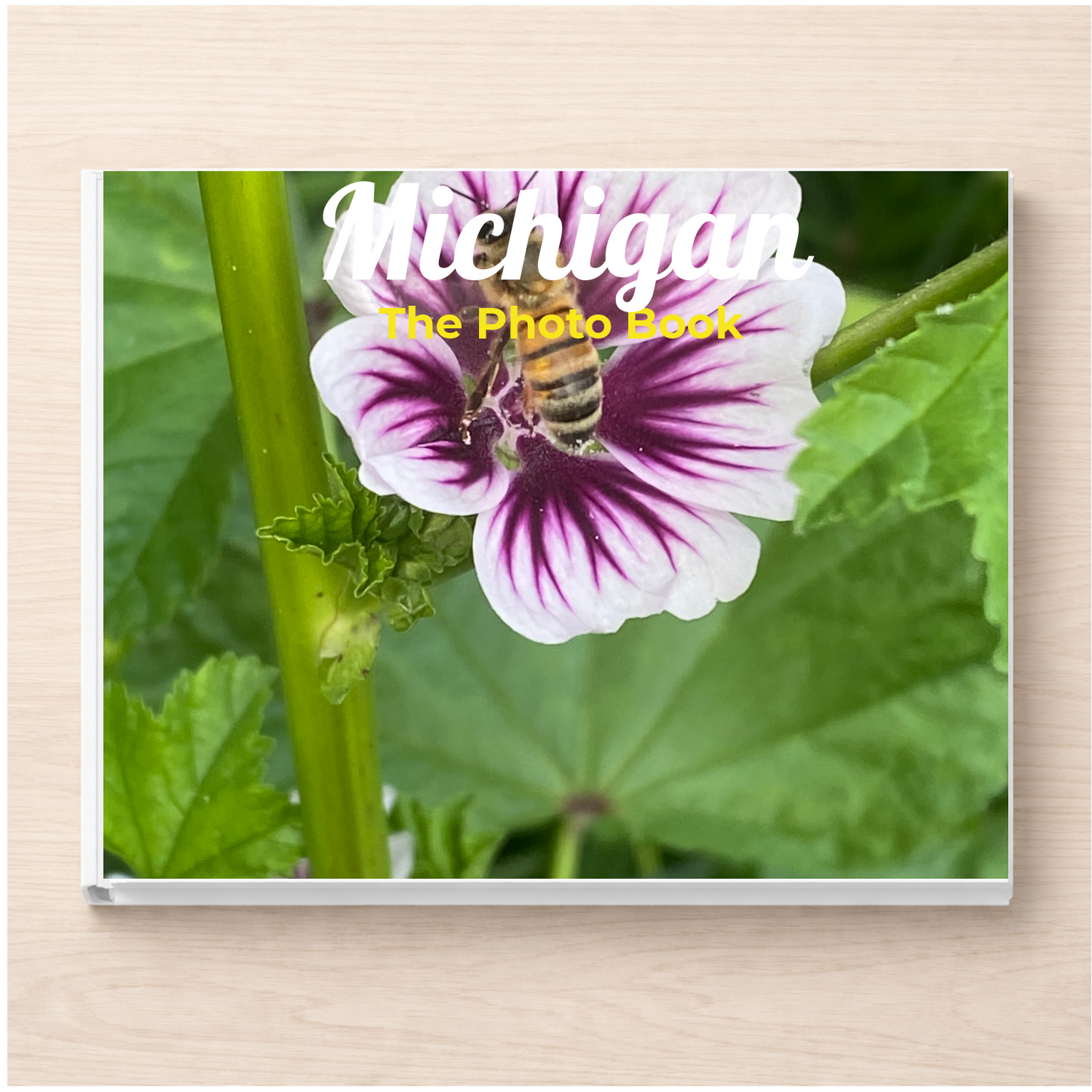 Michigan: The Photo Book