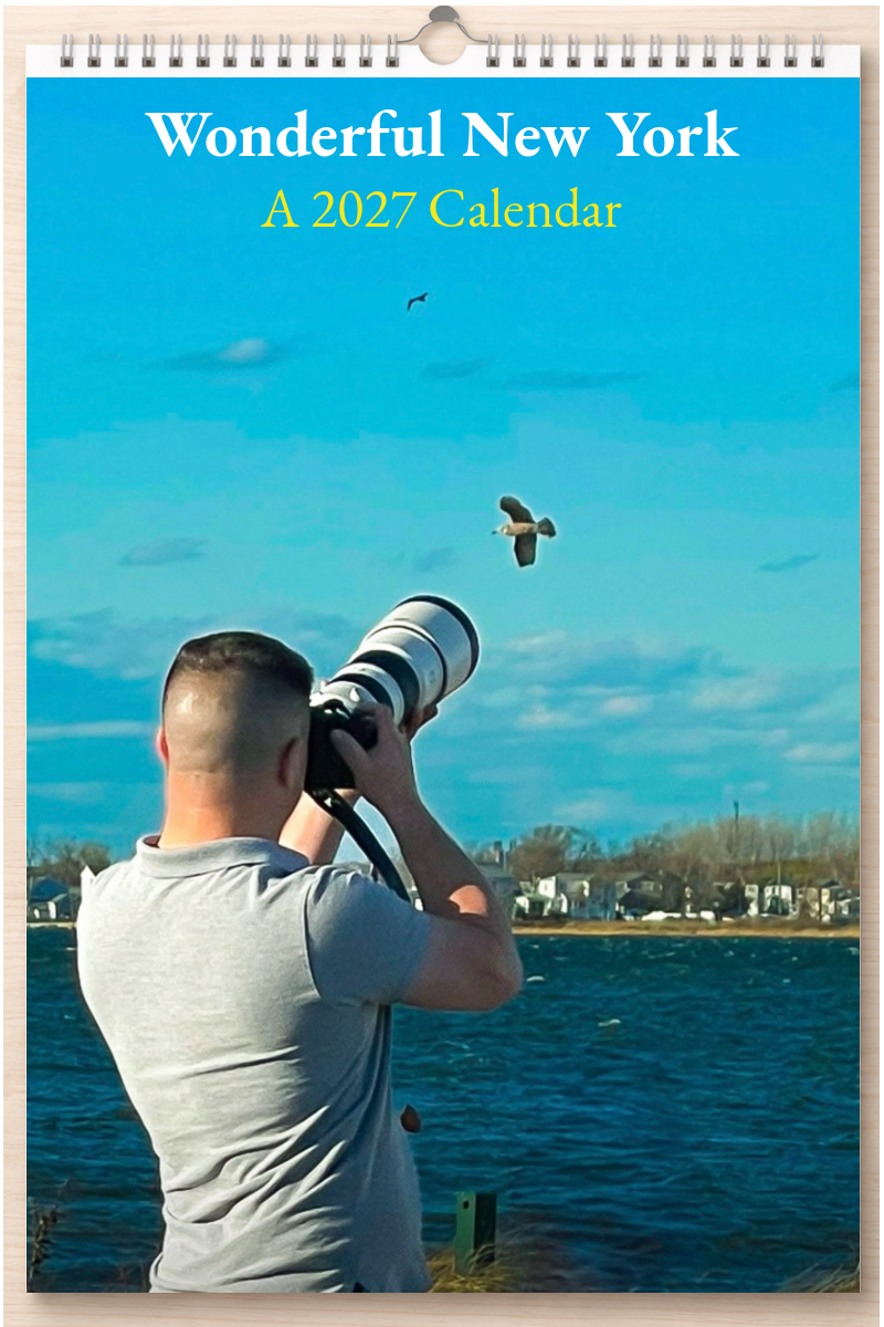 Wonderful New York: A 2027 Calendar