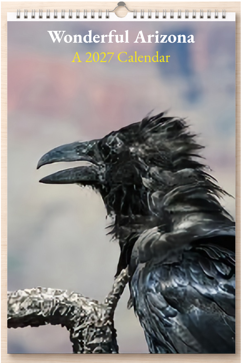 Wonderful Arizona: A 2027 Calendar