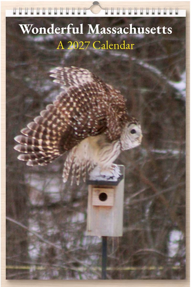 Wonderful Massachusetts: A 2027 Calendar