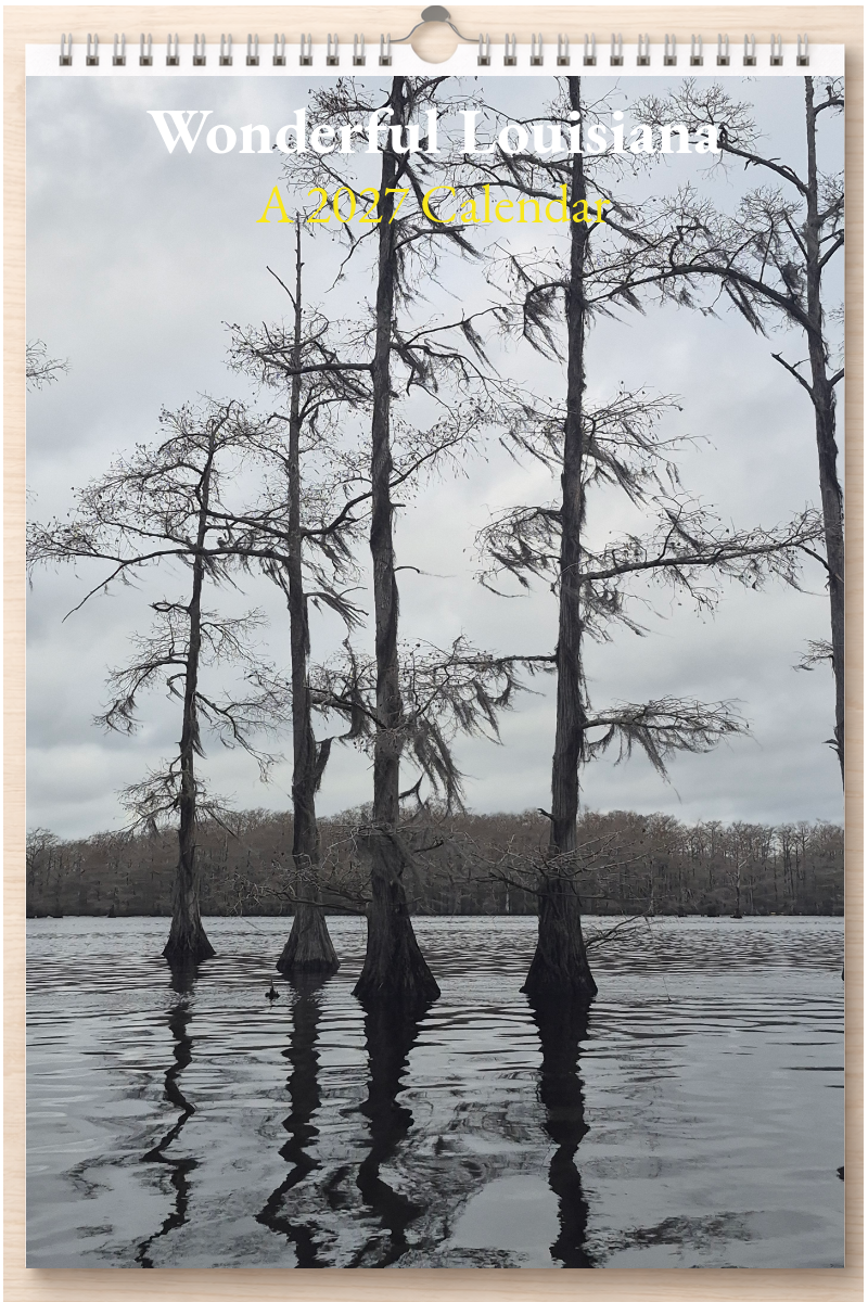 Wonderful Louisiana: A 2027 Calendar