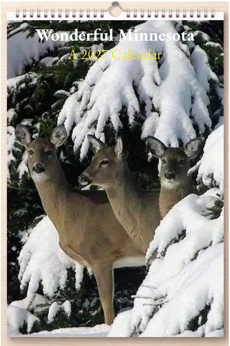 Wonderful Minnesota: A 2027 Calendar