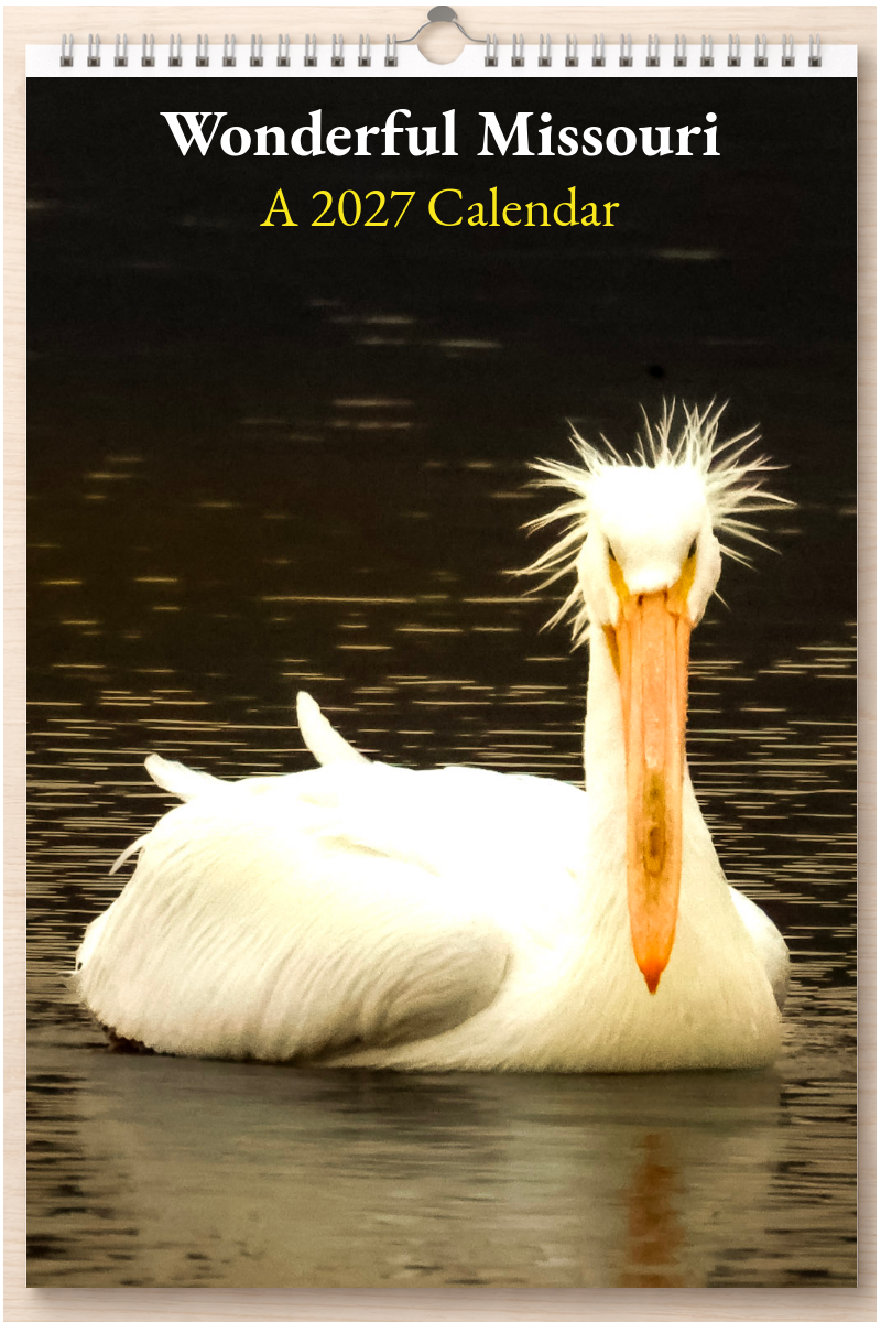 Wonderful Missouri: A 2027 Calendar