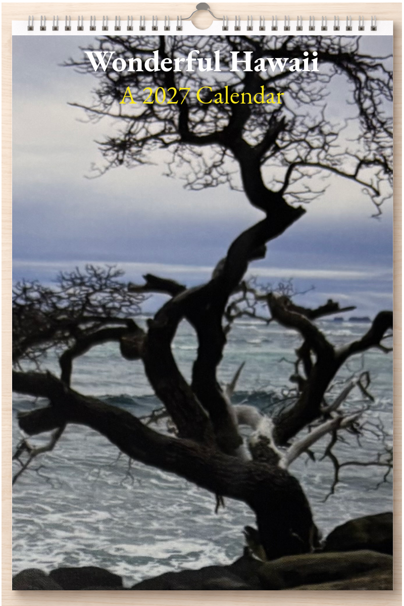 Wonderful Hawaii: A 2027 Calendar