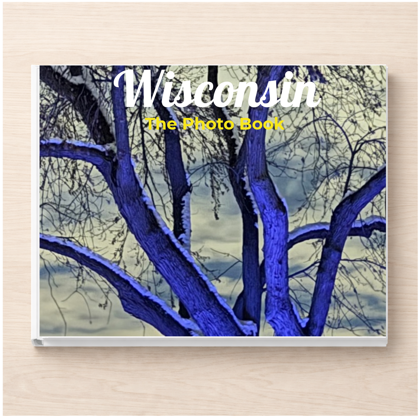 Wisconsin: The Photo Book
