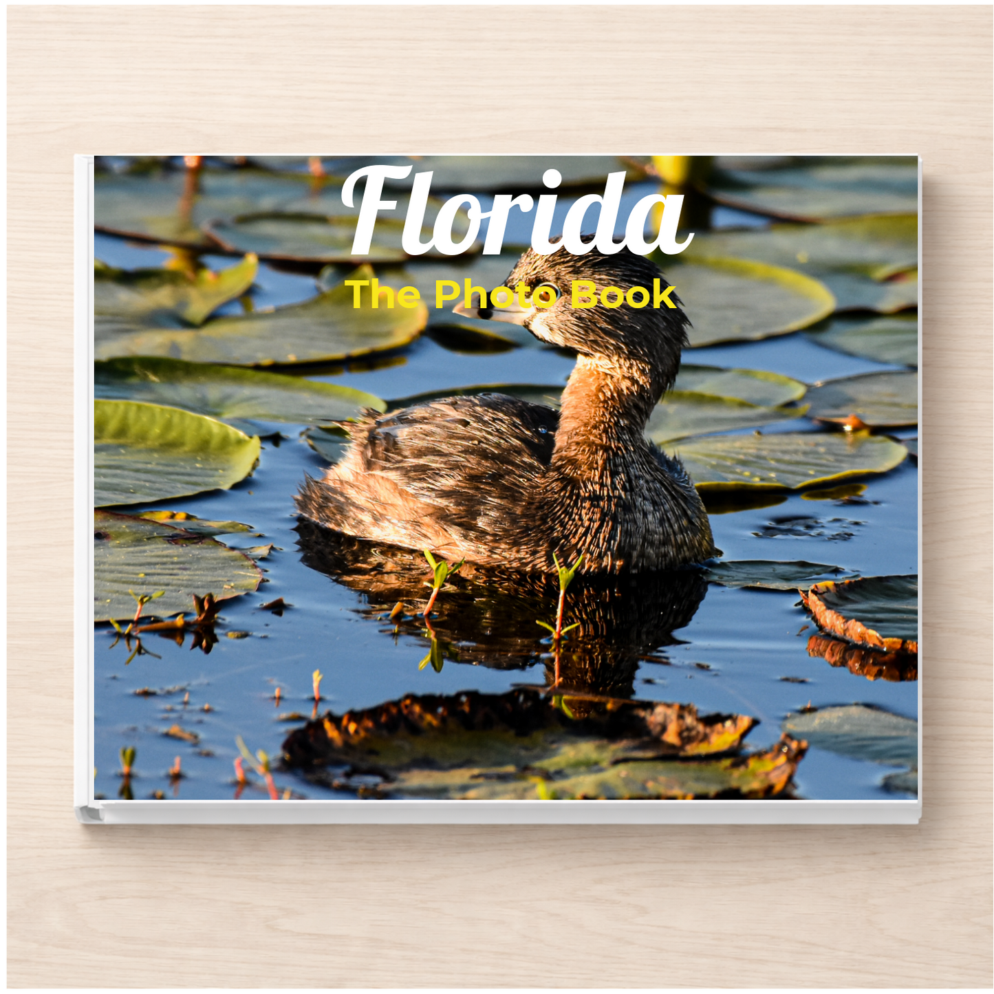 Florida: The Photo Book