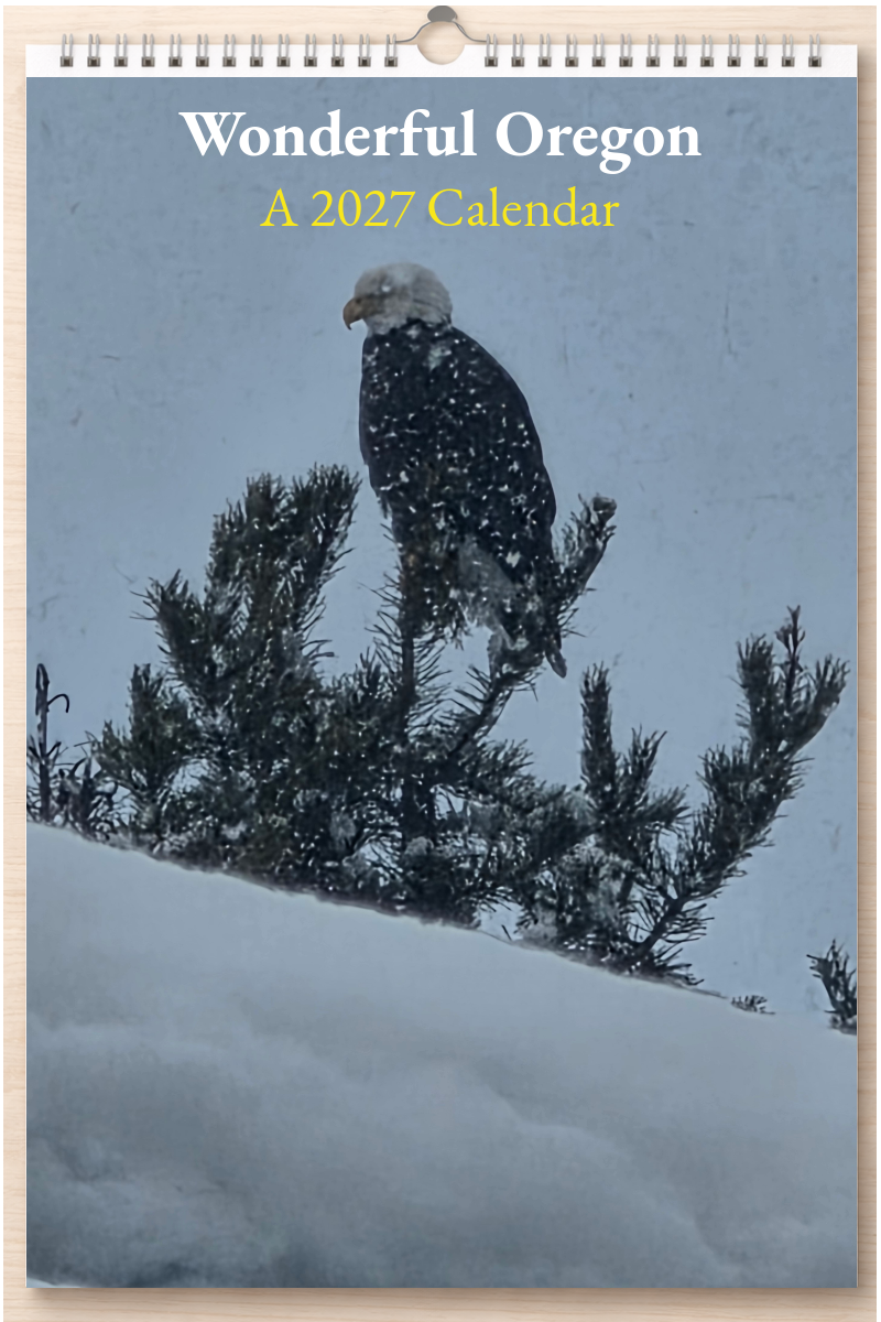 Wonderful Oregon: A 2027 Calendar