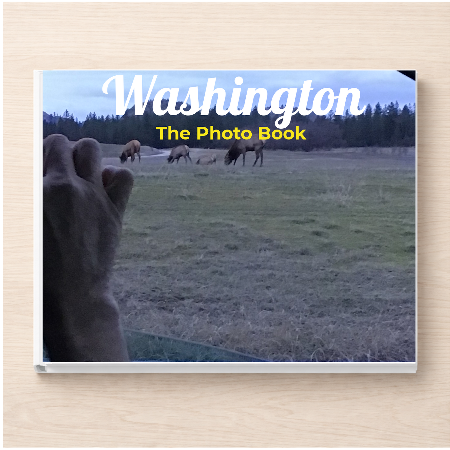 Washington: The Photo Book