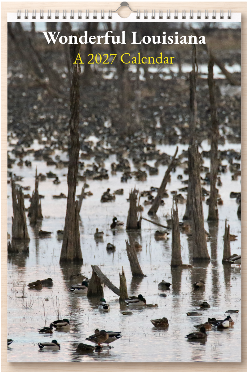 Wonderful Louisiana: A 2027 Calendar