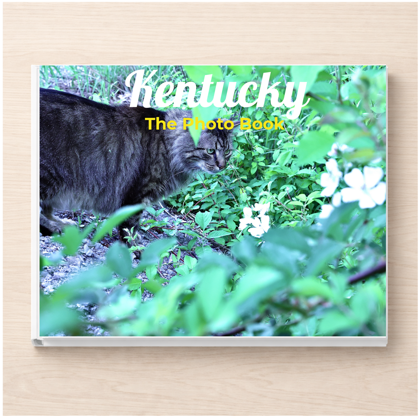 Kentucky: The Photo Book