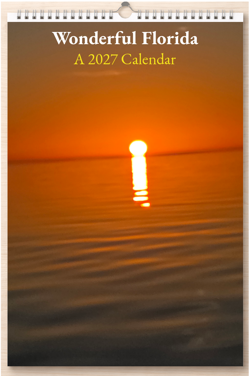 Wonderful Florida: A 2027 Calendar