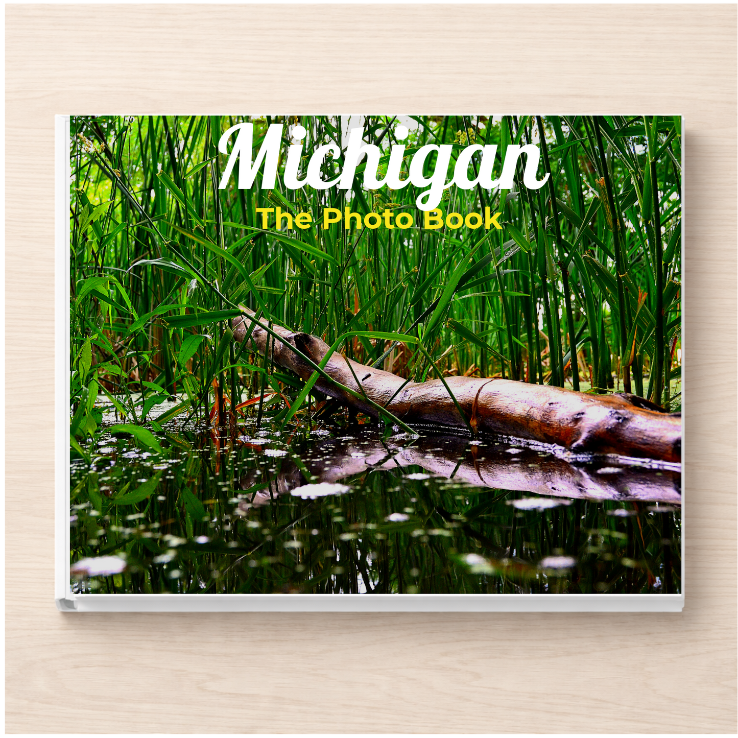 Michigan: The Photo Book