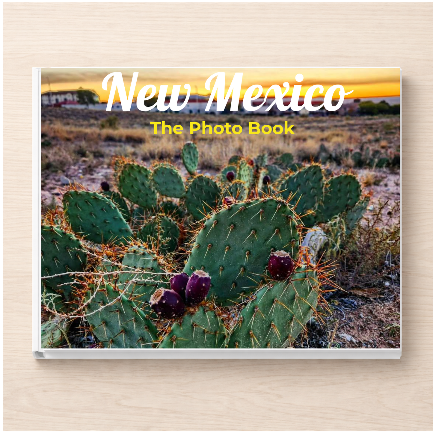 New Mexico: The Photo Book