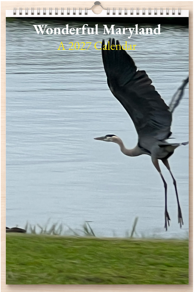 Wonderful Maryland: A 2027 Calendar