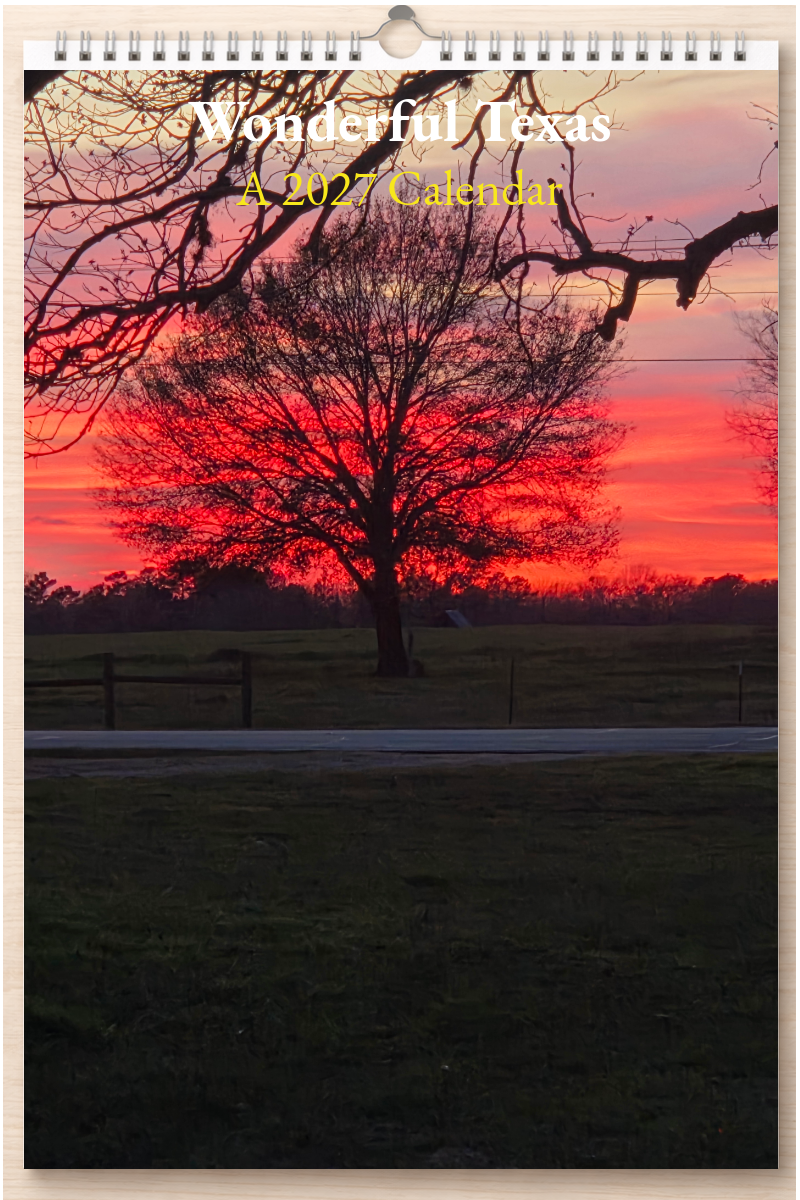 Wonderful Texas: A 2027 Calendar