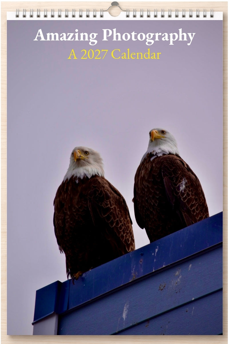 Amazing Photography: A 2027 Calendar