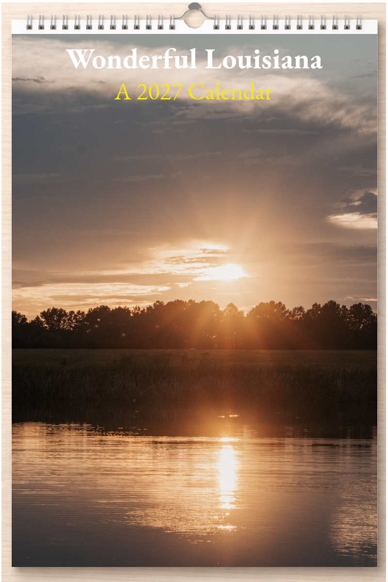 Wonderful Louisiana: A 2027 Calendar