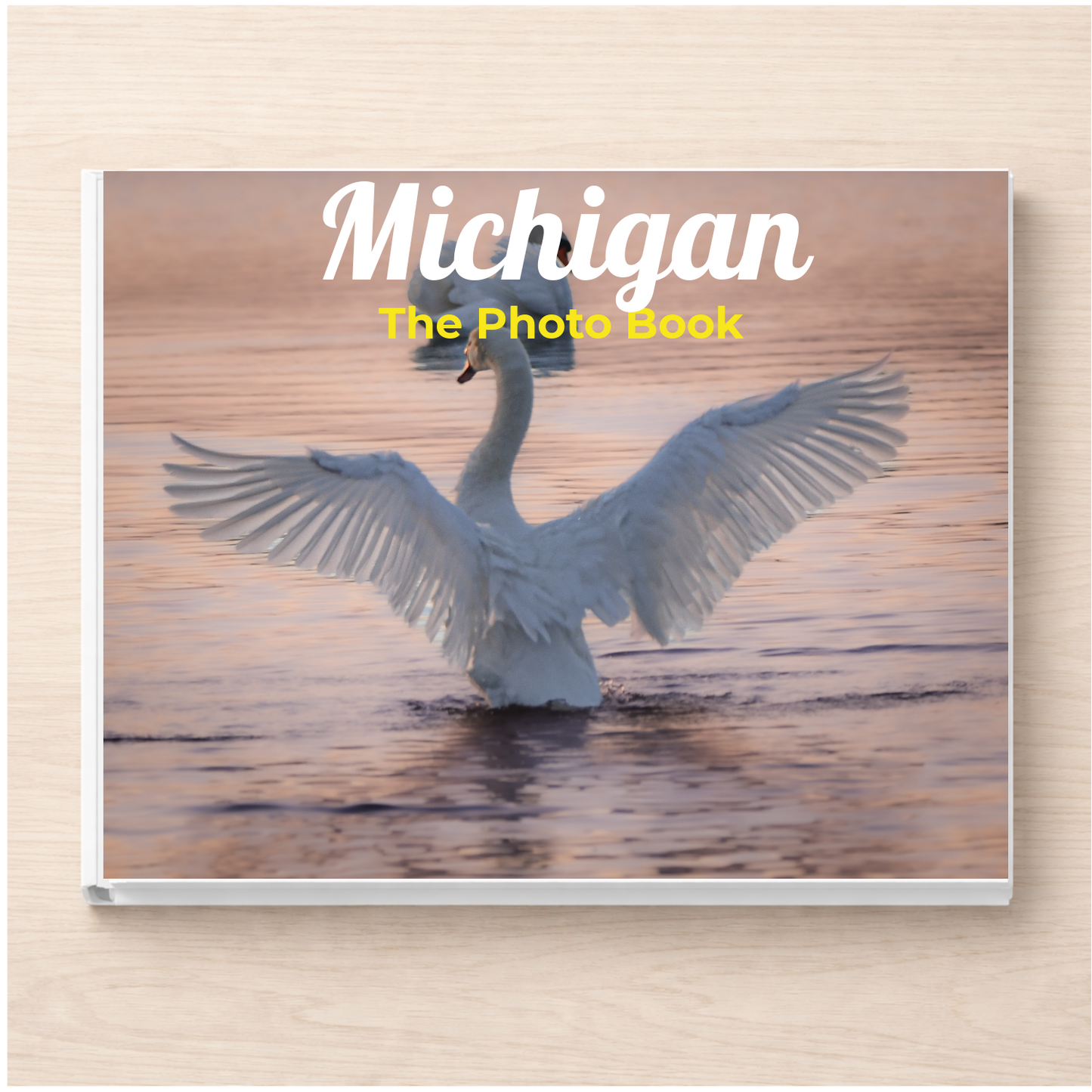 Michigan: The Photo Book