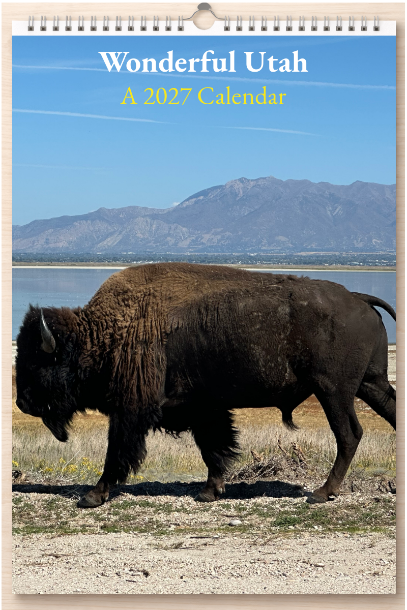 Wonderful Utah: A 2027 Calendar