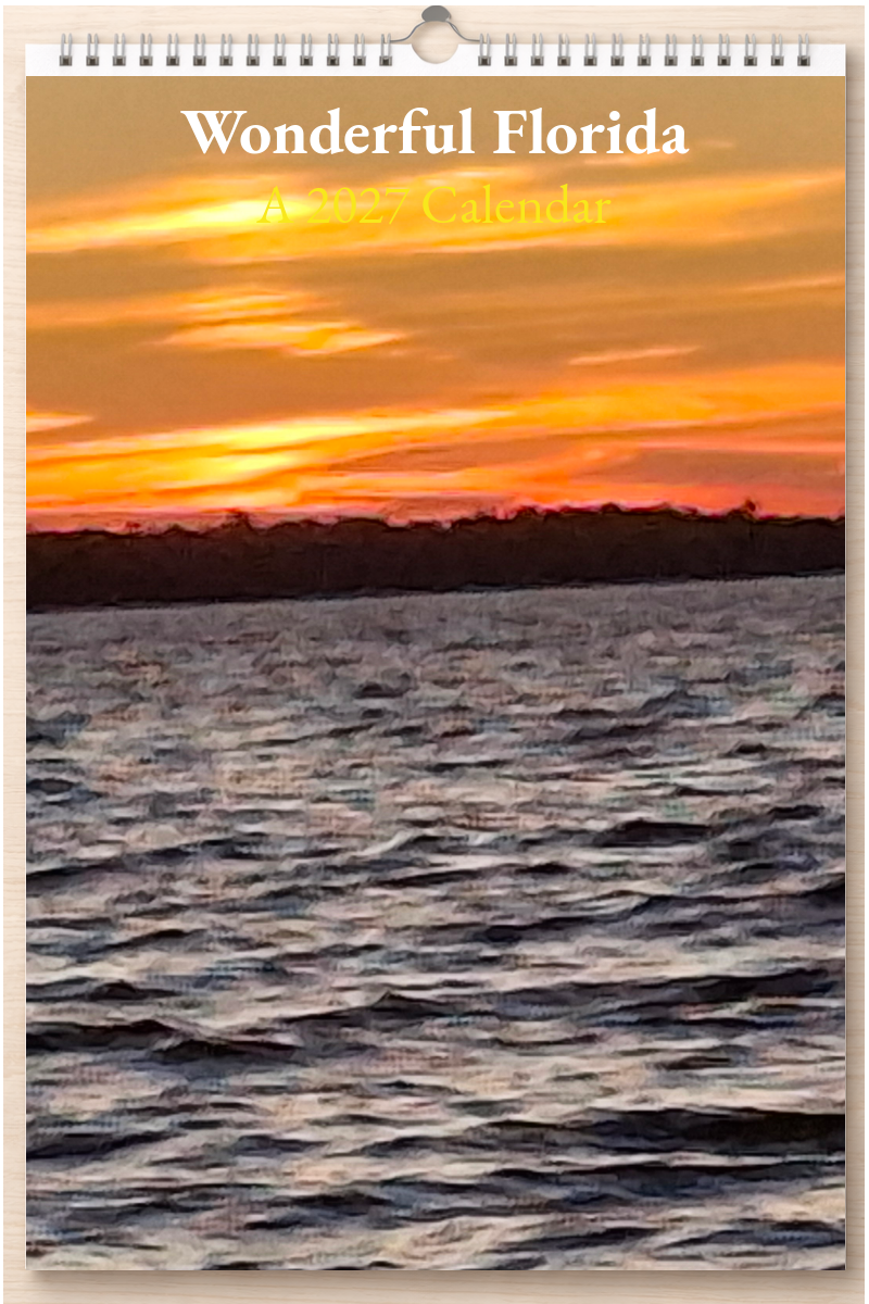 Wonderful Florida: A 2027 Calendar