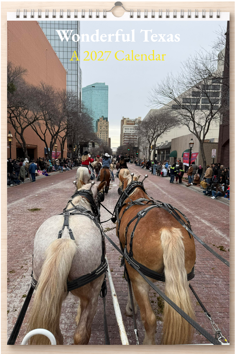 Wonderful Texas: A 2027 Calendar