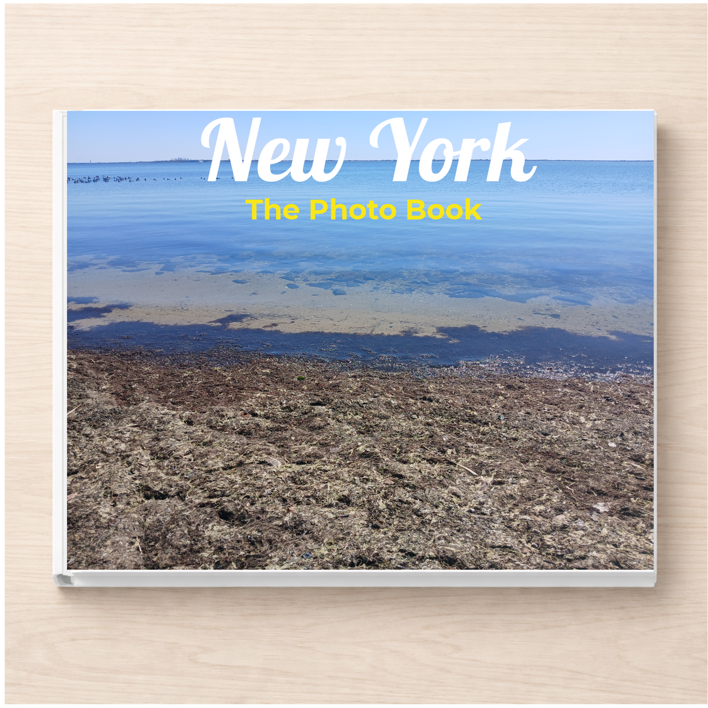 New York: The Photo Book