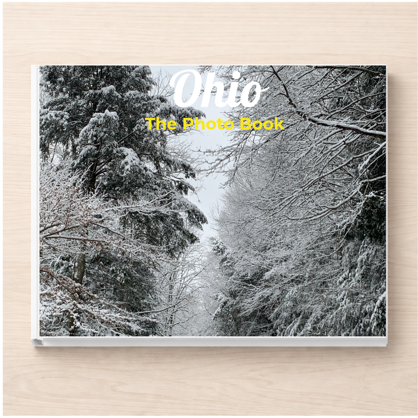 Ohio: The Photo Book