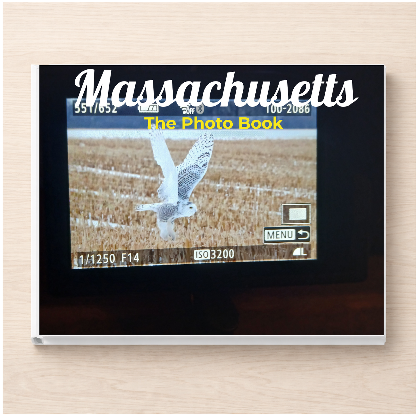 Massachusetts: The Photo Book