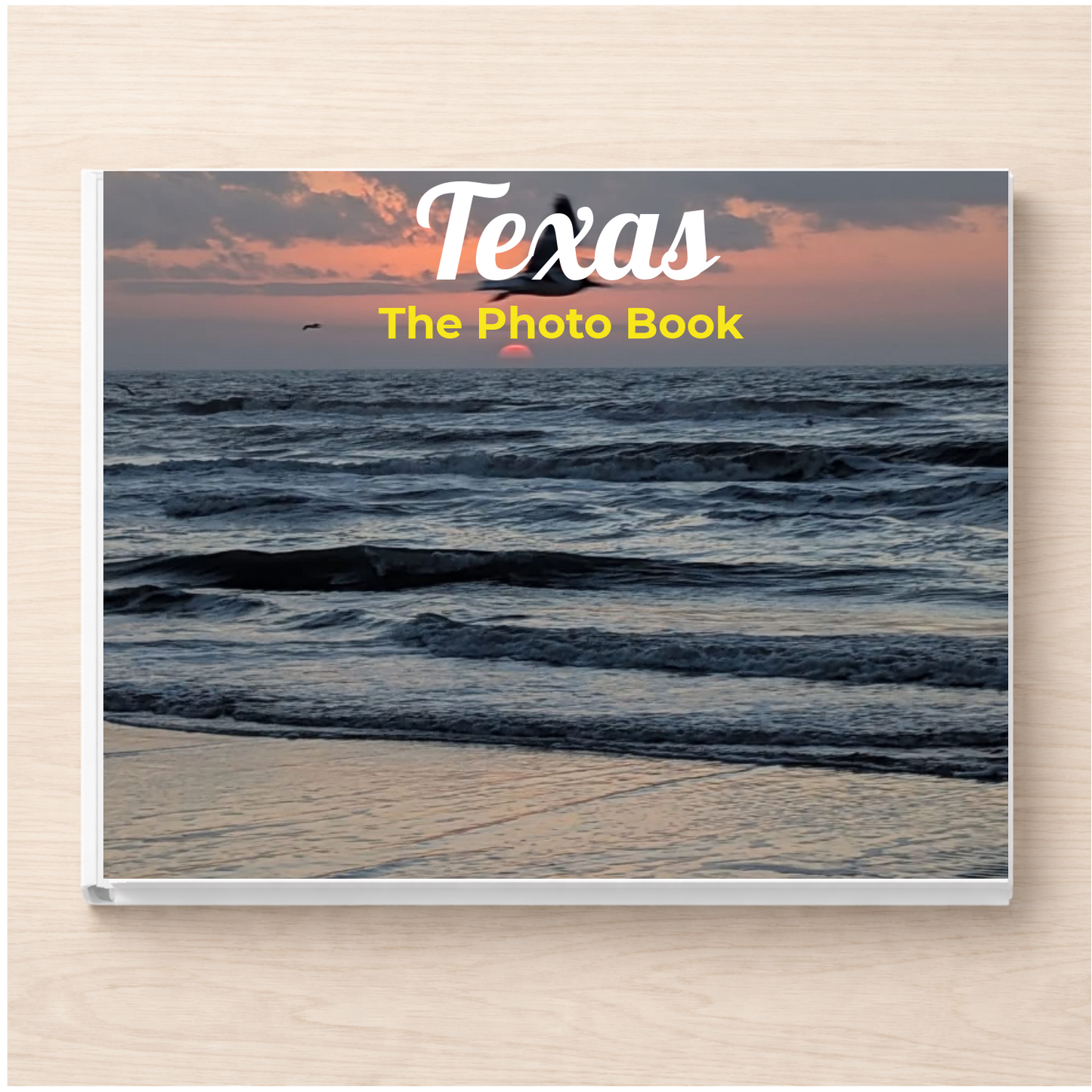 Texas: The Photo Book