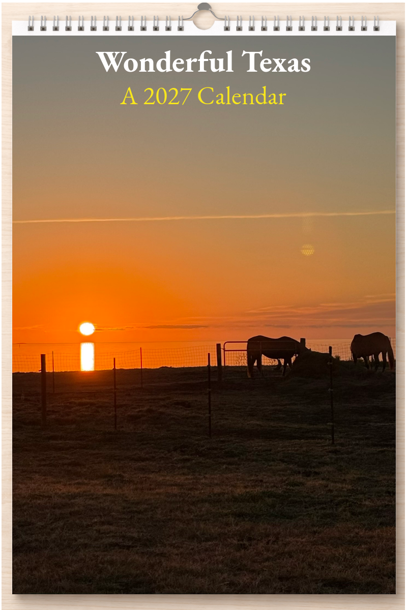 Wonderful Texas: A 2027 Calendar
