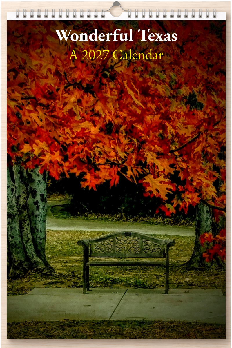 Wonderful Texas: A 2027 Calendar