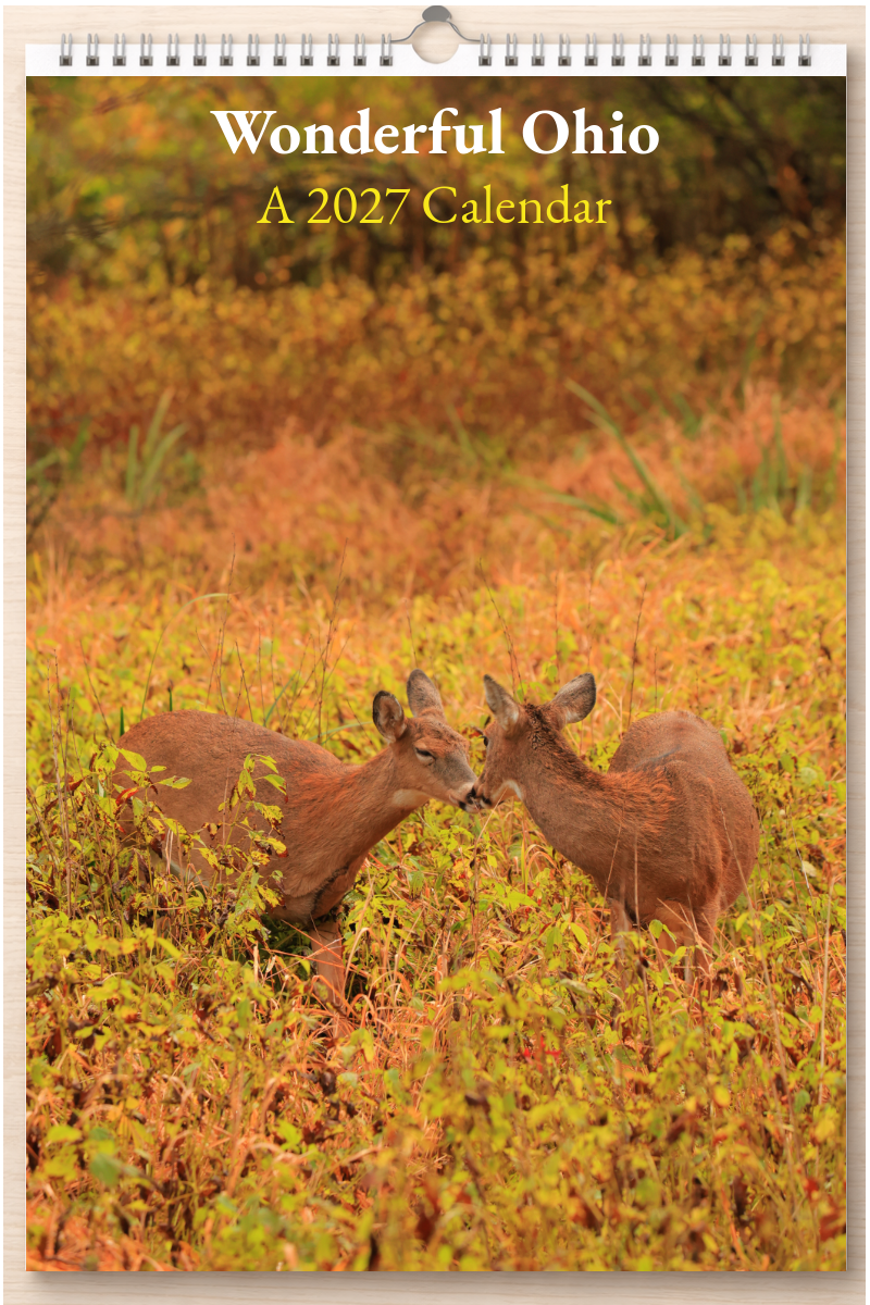 Wonderful Ohio: A 2027 Calendar