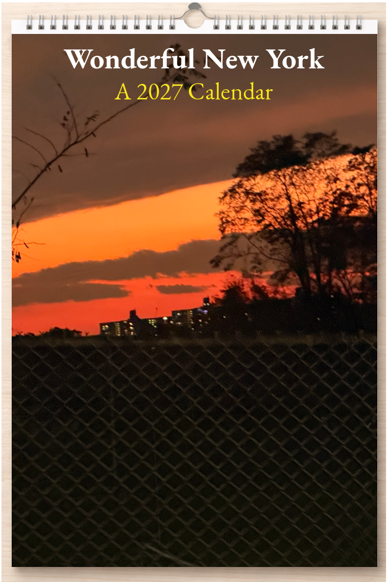 Wonderful New York: A 2027 Calendar