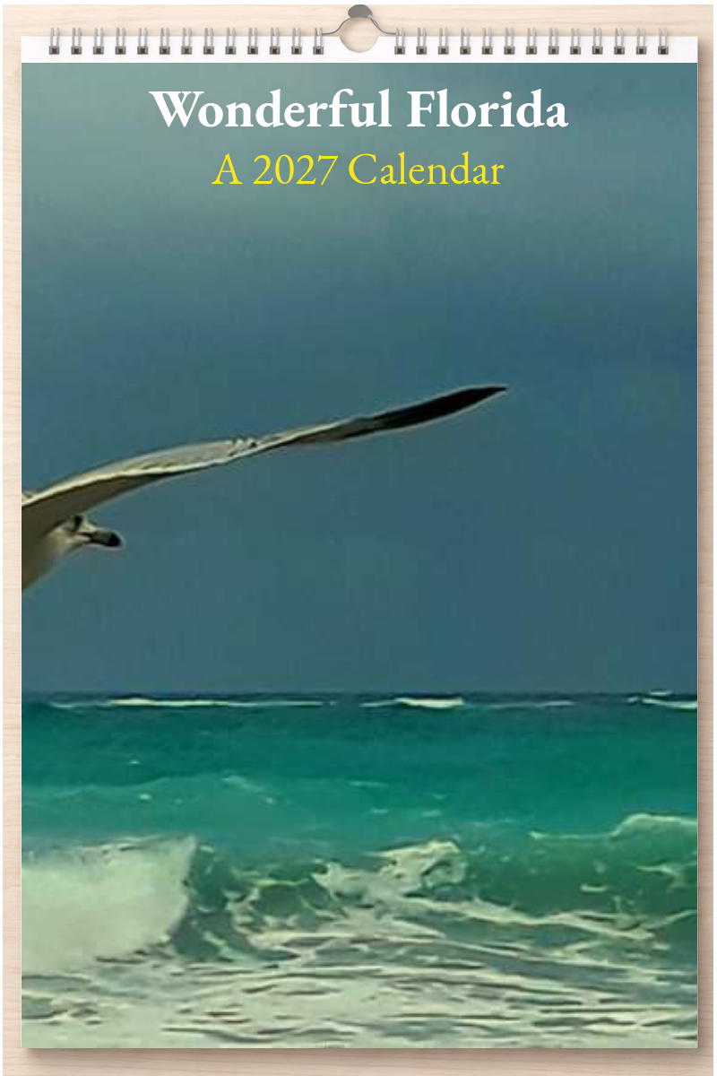 Wonderful Florida: A 2027 Calendar