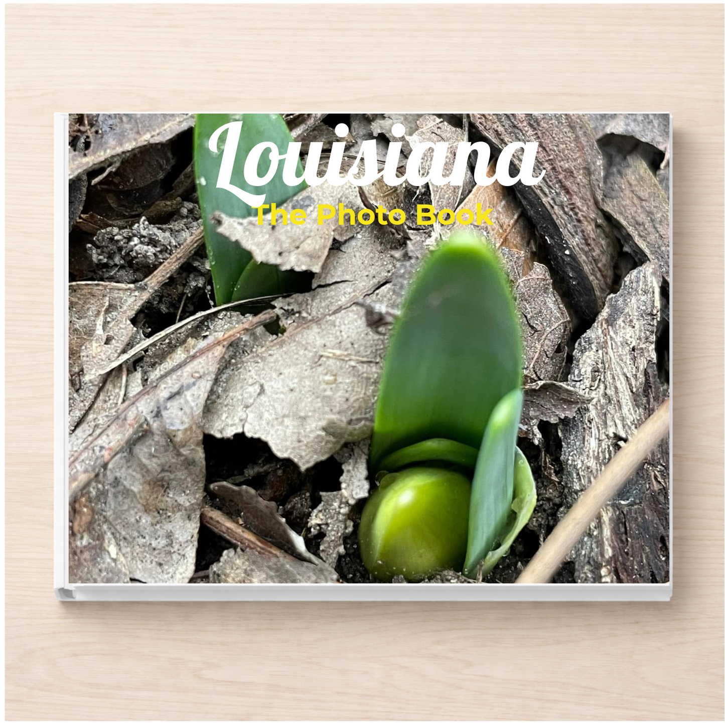 Louisiana: The Photo Book