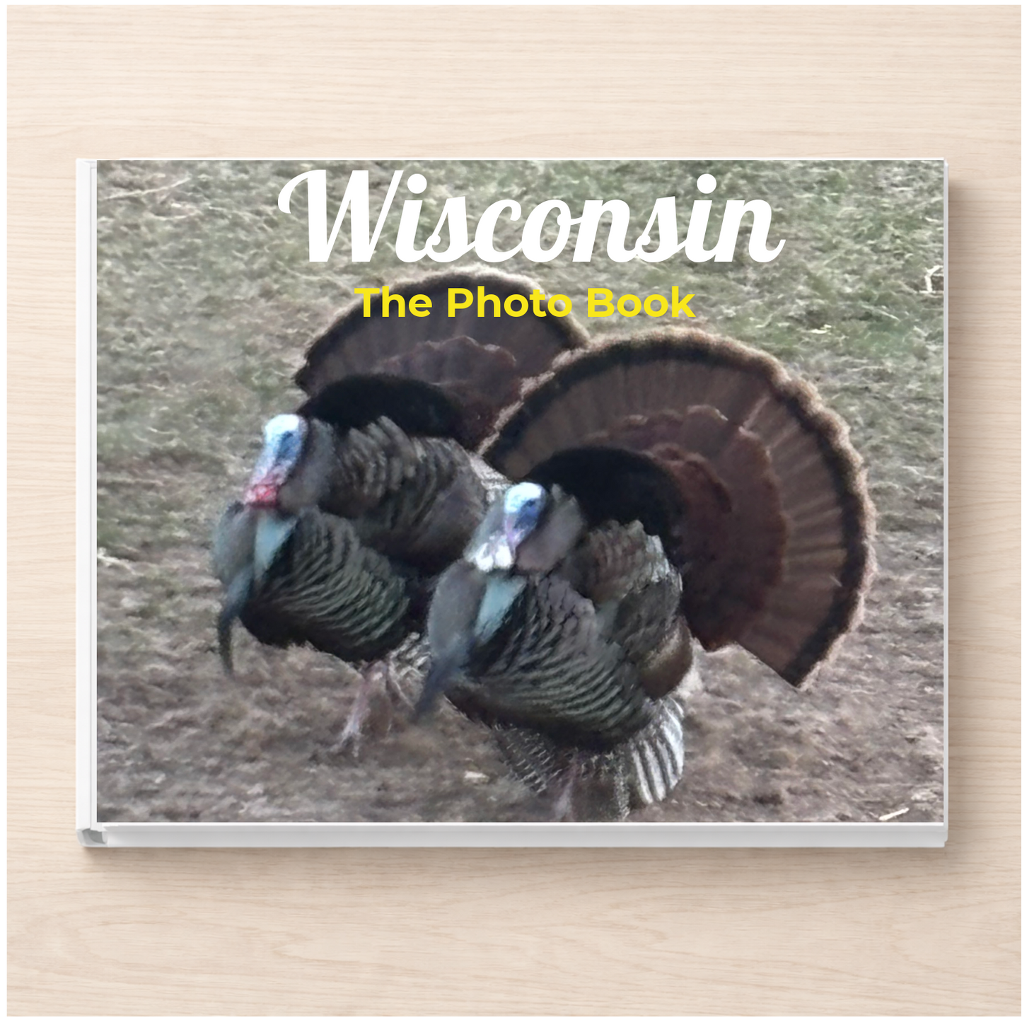 Wisconsin: The Photo Book