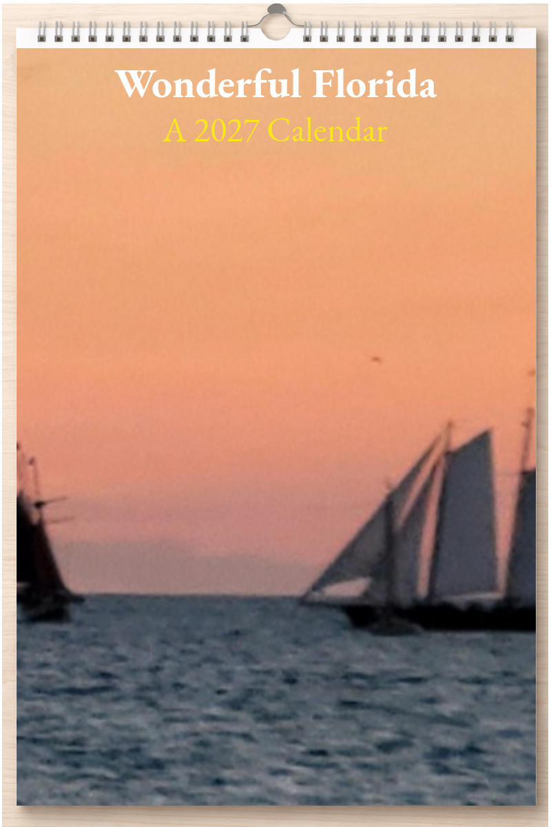 Wonderful Florida: A 2027 Calendar