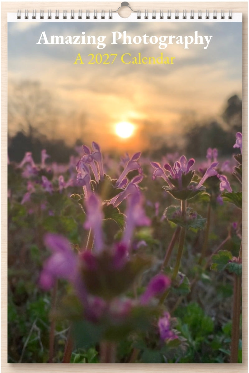 Amazing Photography: A 2027 Calendar