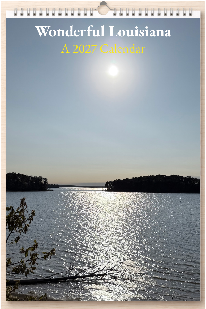 Wonderful Louisiana: A 2027 Calendar