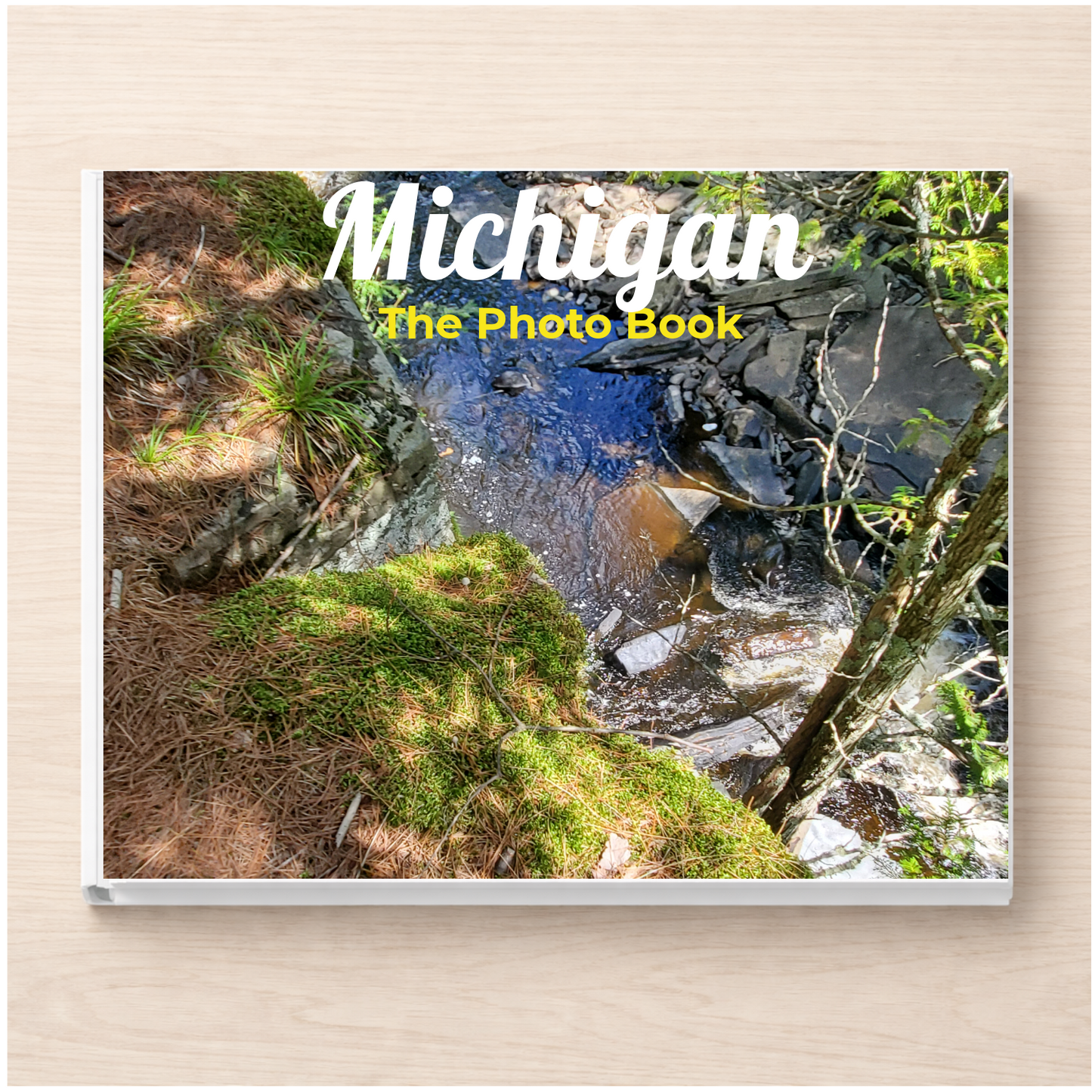 Michigan: The Photo Book